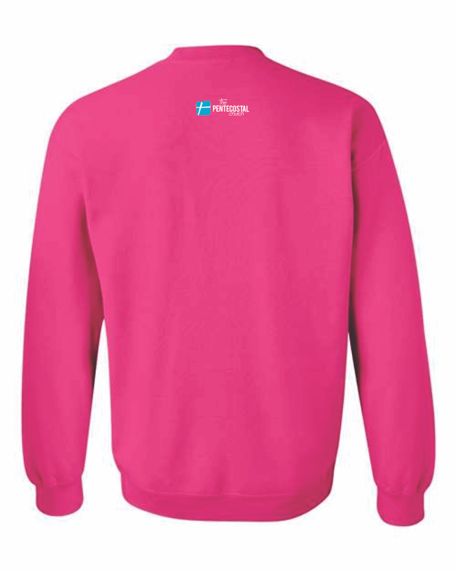 A YEAR OF VICTORIES - SWEATSHIRT PINK
