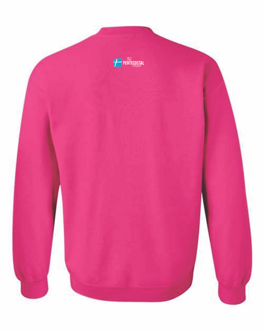 A YEAR OF VICTORIES - SWEATSHIRT PINK